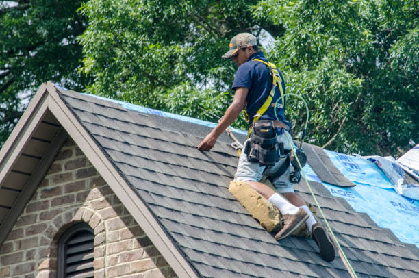 Best Residential Roof Replacement  in Harveys Lake, PA